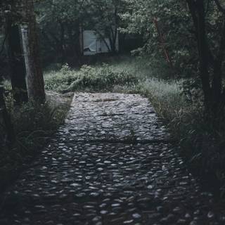 Summer paths wallpaper