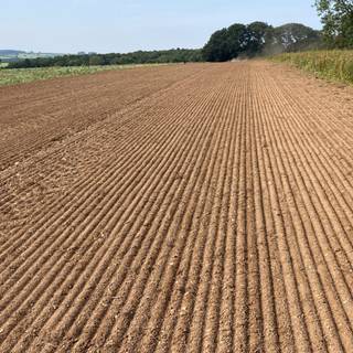 Autumn farm 1920x1080 wallpaper