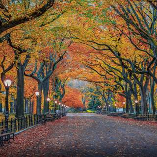 New York autumn desktop wallpaper