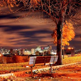 New York autumn desktop wallpaper