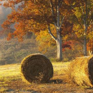 Autumn farm 1920x1080 wallpaper