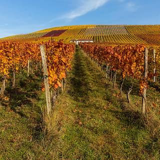 Autumn farm 1920x1080 wallpaper