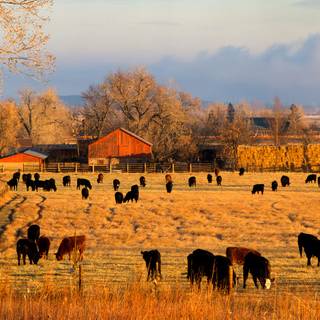 Autumn farm 1920x1080 wallpaper