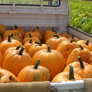 Autumn farm 1920x1080 wallpaper