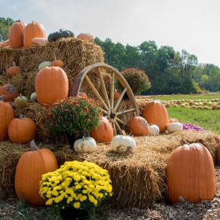 Autumn farm 1920x1080 wallpaper