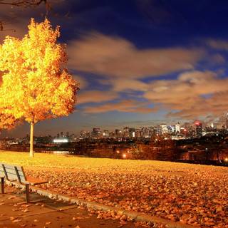 New York autumn desktop wallpaper