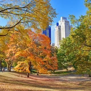 New York autumn desktop wallpaper