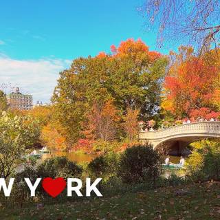 New York autumn desktop wallpaper