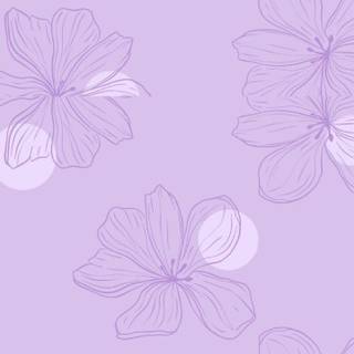 Lila iPhone wallpaper