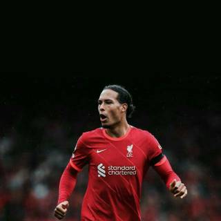 Van Dijk phone wallpaper