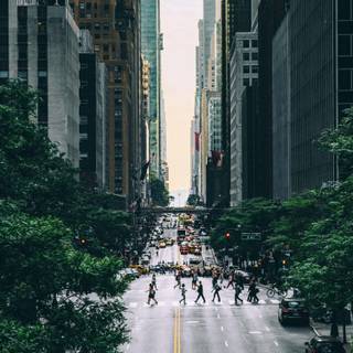 Phone street wallpaper