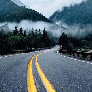 Phone street wallpaper