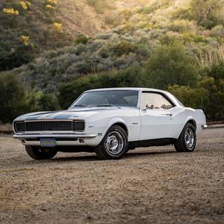 Camaro SS phone wallpaper