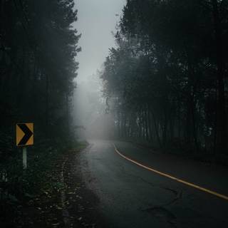 Phone street wallpaper