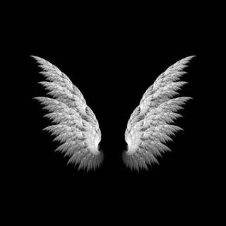 iPhone angel wallpaper