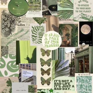 Green collage phone wallpaper