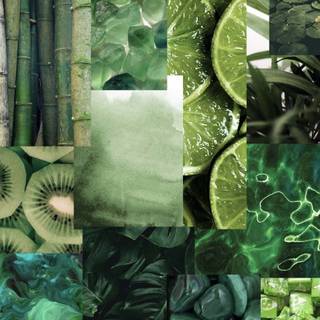 Green collage phone wallpaper