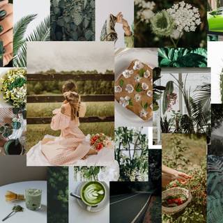 Moodboard wallpaper