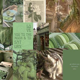 Aesthetic collage laptop dark green wallpaper