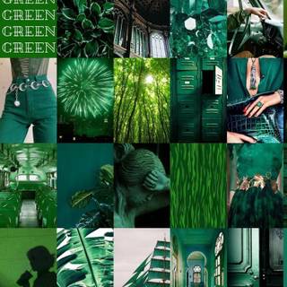 Green collage phone wallpaper