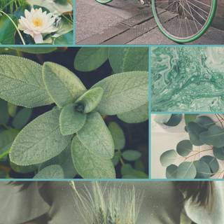 Green collage phone wallpaper