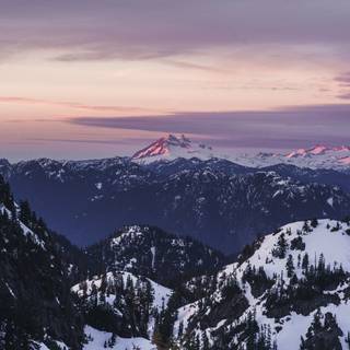 Vancouver phone wallpaper