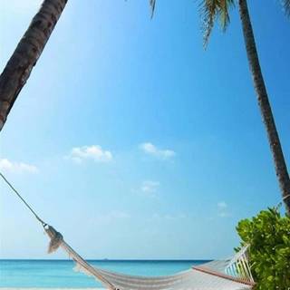 Beach iPhone 13 wallpaper