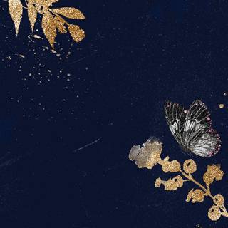 Dark blue aesthetic phone wallpaper