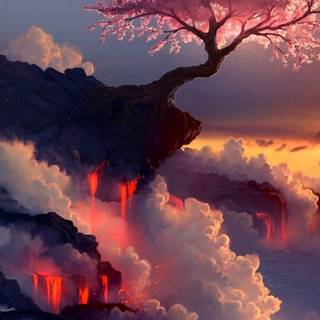 iPhone beauty wallpaper