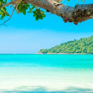 Beach iPhone 13 wallpaper