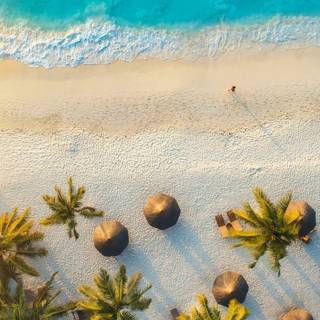 Beach iPhone 13 wallpaper