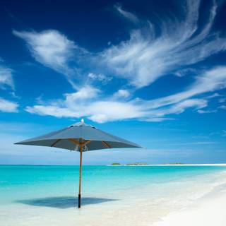 Beach iPhone 13 wallpaper