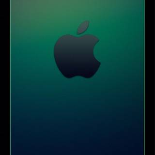 iPhone 11 Plus border wallpaper