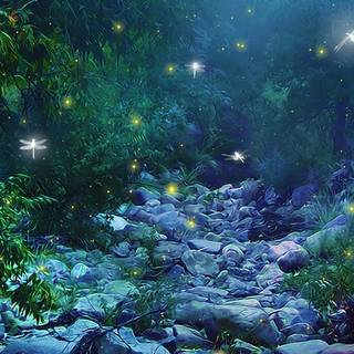 Magical nature wallpaper