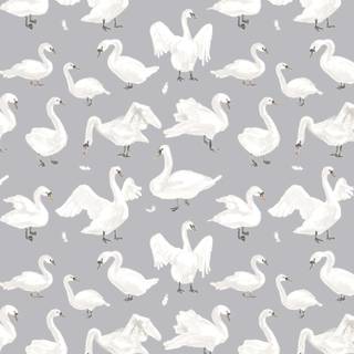 Goose phone wallpaper