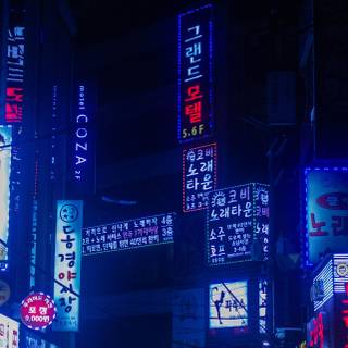 iPhone 13 Pro Max neon wallpaper