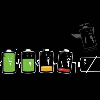 Funny iPhone 11 wallpaper