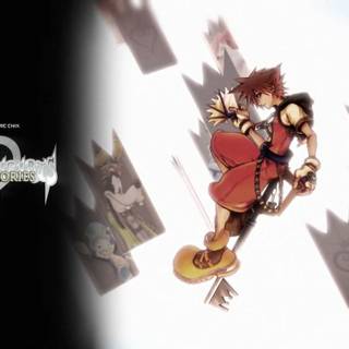Kingdom Hearts: Chain of Memories wallpaper