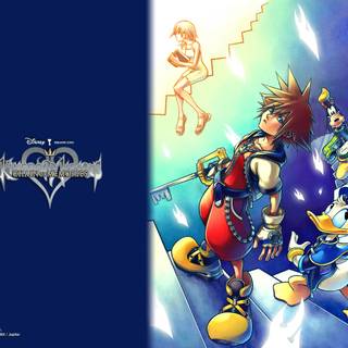 Kingdom Hearts: Chain of Memories wallpaper