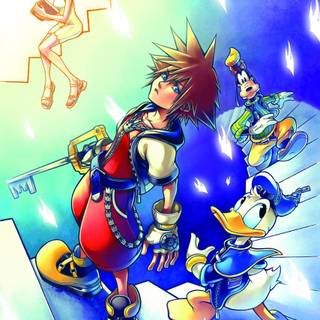 Kingdom Hearts: Chain of Memories wallpaper