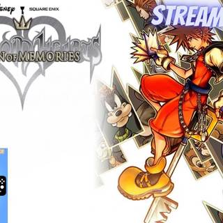 Kingdom Hearts: Chain of Memories wallpaper