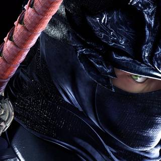 Ninja Gaiden Sigma wallpaper