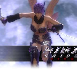 Ninja Gaiden Sigma wallpaper