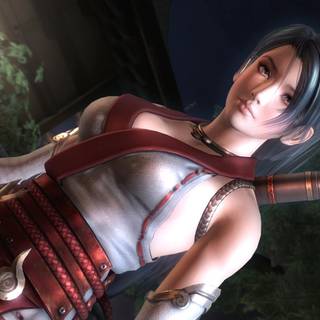 Ninja Gaiden Sigma wallpaper