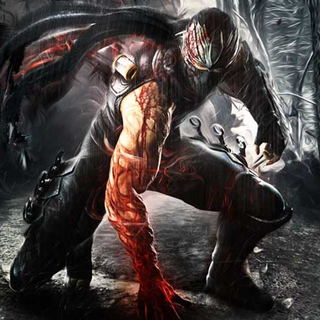 Ninja Gaiden Sigma wallpaper