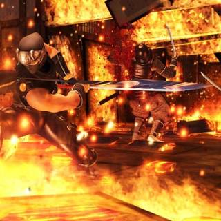 Ninja Gaiden Sigma wallpaper