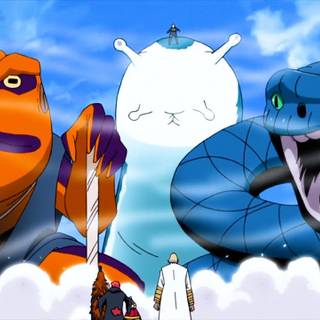 Naruto summoning wallpaper