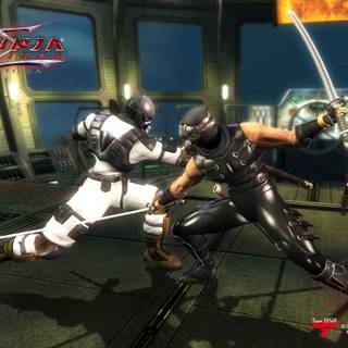 Ninja Gaiden Sigma wallpaper