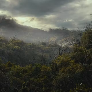 Dol Guldur wallpaper