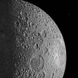 Couple half wallpaper